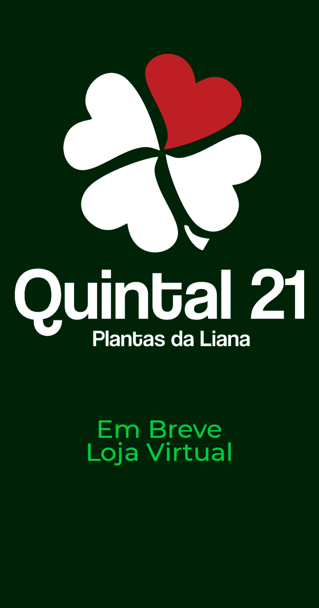 Quintal 21 Plantas da Liana